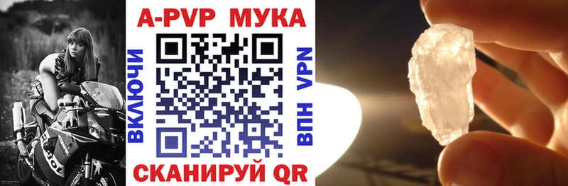 A-PVP СК  Мончегорск 