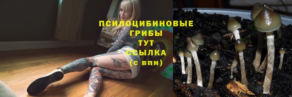 mdpv Балабаново